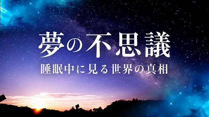 夢の不思議　睡眠中に見る世界の真相